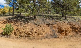 103 Gross Rd, Bailey, CO 80421