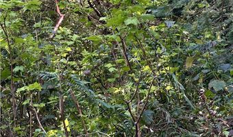 Crestline Loop, Brookings, OR 97415