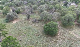 1228 Morning Glory Ln, Adkins, TX 78101