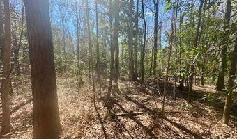 0 Tervin Mill Rd, Andalusia, AL 36421
