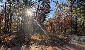 33 Eagle Rdg, Ball Ground, GA 30107