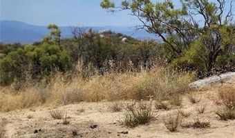 1007 Roan Way, Aguanga, CA 92536