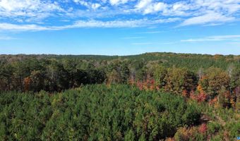 RIDGE RD lot 1, Arvonia, VA 23004