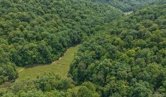 50 Hg Williams Dr, Bays, KY 41310
