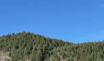 Logsden Rd, Blodgett, OR 97326