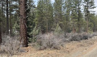 Bufflehead Drive TL 10, Bonanza, OR 97623