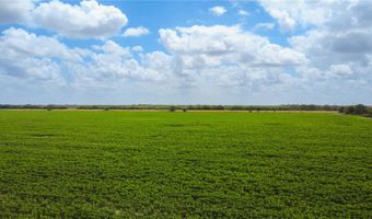 WBD N Hwy 281, Alice, TX 78332