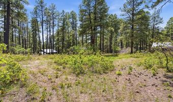 14 Pine Cone Dr, Bayfield, CO 81122