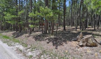 Lot 563 Lakeview Park Drive, Angel Fire, NM 87710