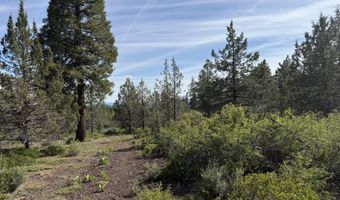 Porpoise Lane lot 29, Bonanza, OR 97623