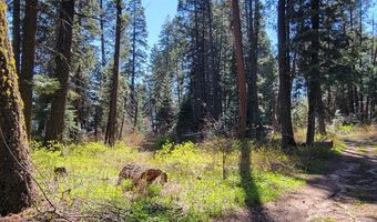 22 Melody Ln Lot 10, Cascade, ID 83611