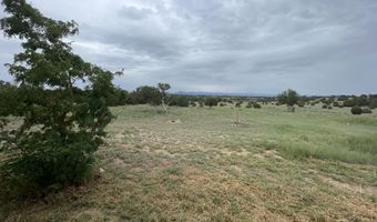 68 County Road 8620, Concho, AZ 85924