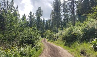 Arlee Pines lot 20, Arlee, MT 59821