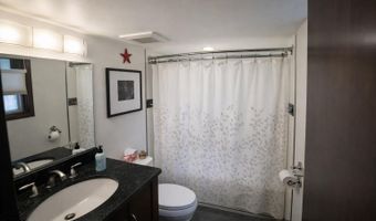 409 Park Cir 2, Aspen, CO 81611