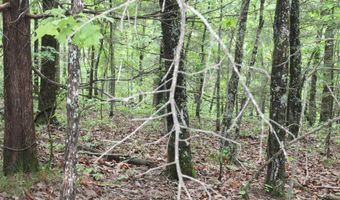 E Mountain Road, Bee Branch, AR 72013
