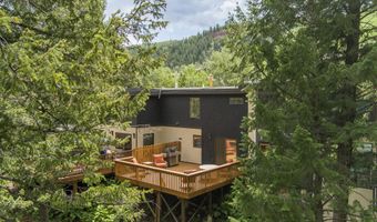 1501 Maroon Creek Rd 2, Aspen, CO 81611