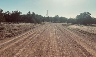 Terry Lane, Ash Fork, AZ 86046