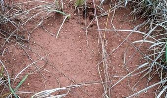 Tract 1 Acme Rd, Asher, OK 74826