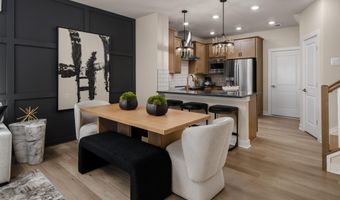 HOMESITE 39 STRABANE Terrace, Ashburn, VA 20147