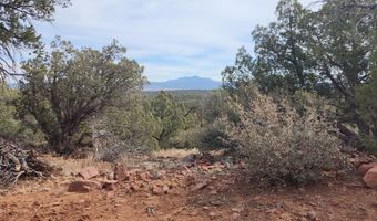 S2 Lot 92 Off Indian Springs, Ash Fork, AZ 86320