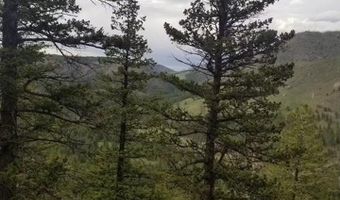 Spiritwood Ln, Bellvue, CO 80512