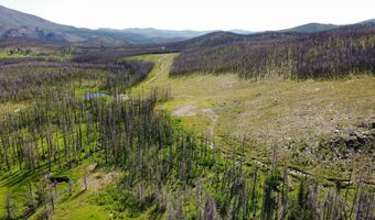 2493 Greer Rd, Bellvue, CO 80512