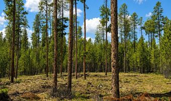 Mitchell Lane lot 8 Tbd, Anaconda, MT 59711