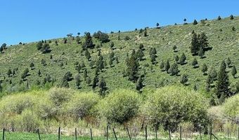 5002 FAIRVIEW SPG CRK Rd, Afton, WY 83110