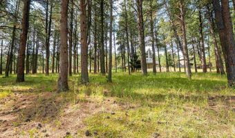 Lot 1127 Spyglass Hill Rd, Angel Fire, NM 87710