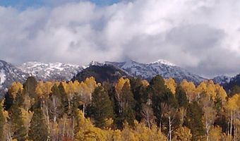 49 S DELL Crk, Alpine, WY 83128
