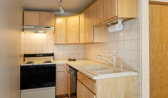 311 Midland Ave, Aspen, CO 81611