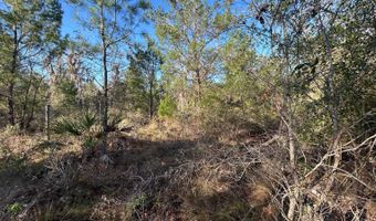 NW Lake McKenzie Rd, Altha, FL 32421