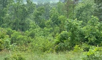 300 Block ANGEL, Amity, AR 71921