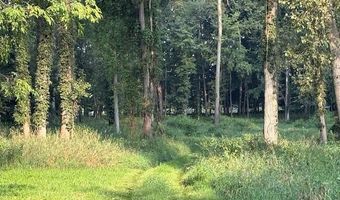 27 Mile Rd, Albion, MI 49224