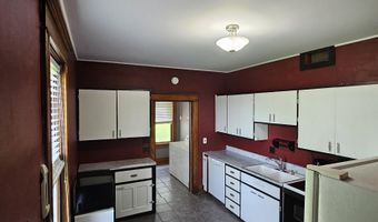 214 W Webster, Apple River, IL 61001