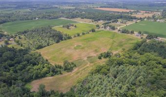 1991 Townline, Adrian, MI 49221