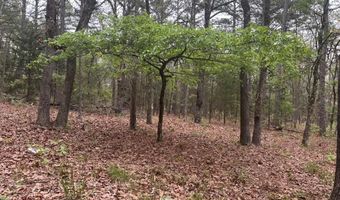 UNIT # 263B KIAMICHI WILDERNESS RD Unit # 63 63, Antlers, OK 74523