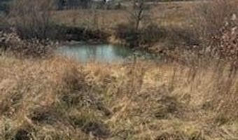 563 Moores Creek Greenhill Rd, Annville, KY 40402