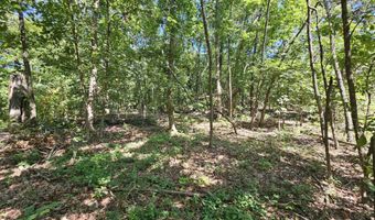 65 Acres Plainview Rd, Anderson, MO 64831
