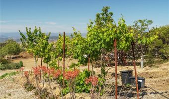 40230 Crazy Horse Canyon Rd, Aguanga, CA 92536