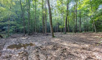 23 59 Ac Chestnut Flats Rd, Andrews, NC 28901