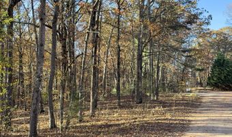 33 Eagle Rdg, Ball Ground, GA 30107