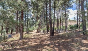 221 Vallecito Dr, Bayfield, CO 81122