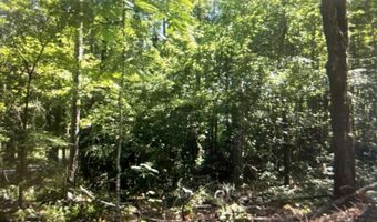 GEMINI CIRCLE lot 53, Alpine, AL 35014