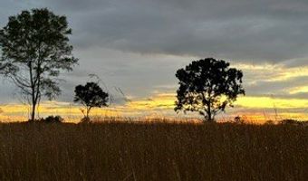 447 CR 215, Abbeville, MS 38601