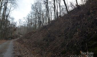 Jacks Knob Road, Barnardsville, NC 28709