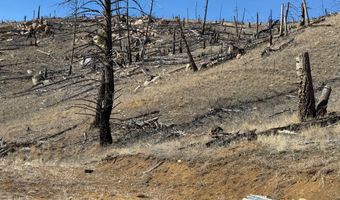 83 Nursery Creek Rd, Boulder, MT 59632