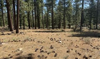 230 Redding Way Lot 240, Carson City, NV 89705