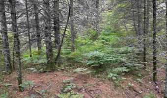 TBD Four Corners, Amasa, MI 49903