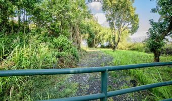 29-509 CHIN CHUCK Rd, Hakalau, HI 96710